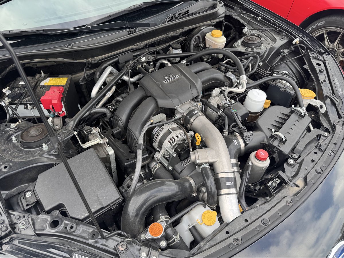 Bat of the sea tweet media