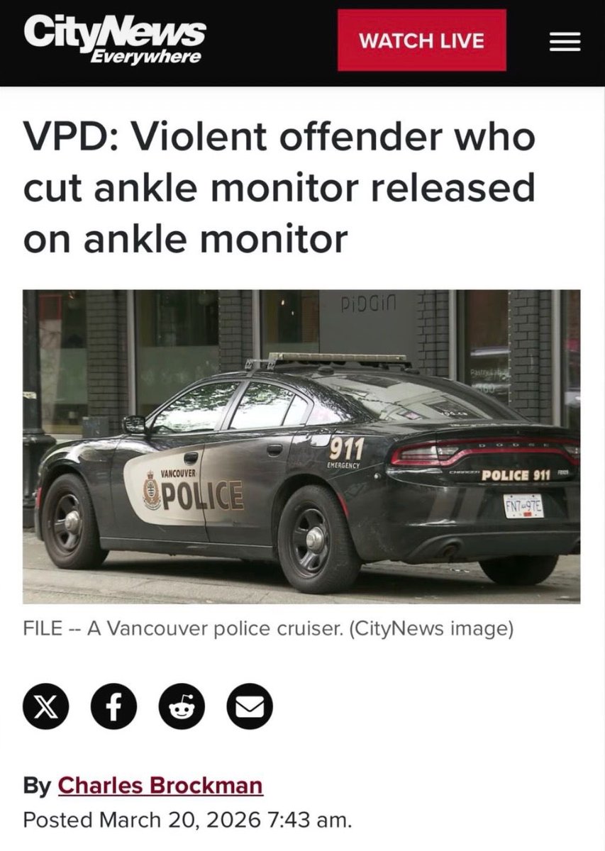 Caroline Elliott tweet media