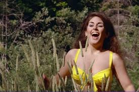 Fred Schaefer tweet media