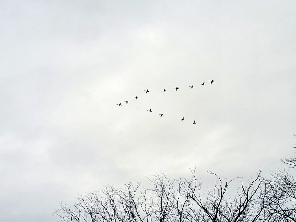 WxOntario tweet media