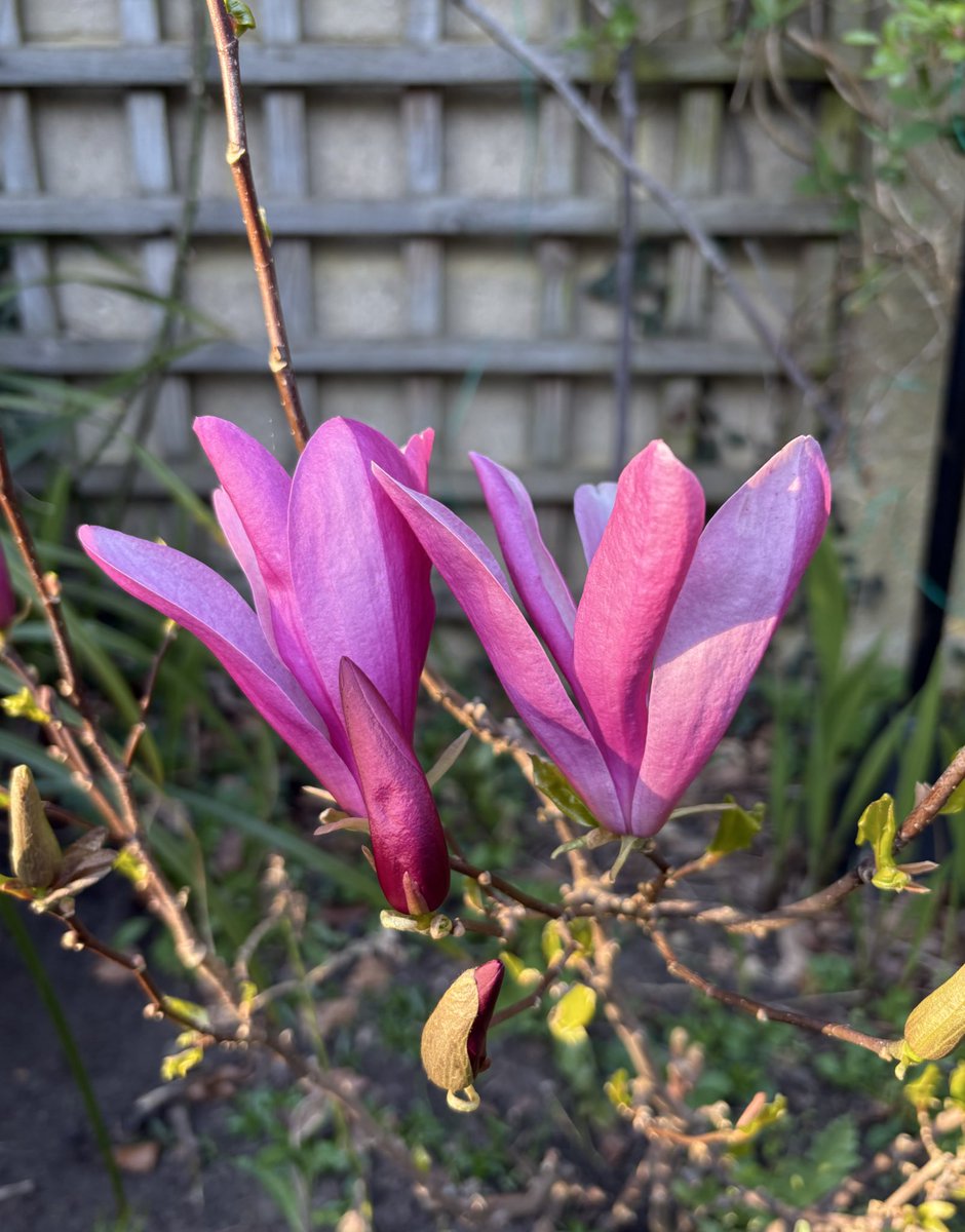 Sally Doherty writes 👩‍💻 tweet media