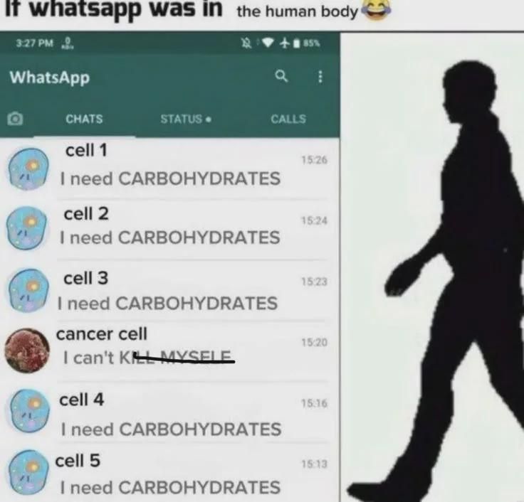 literal memes tweet media