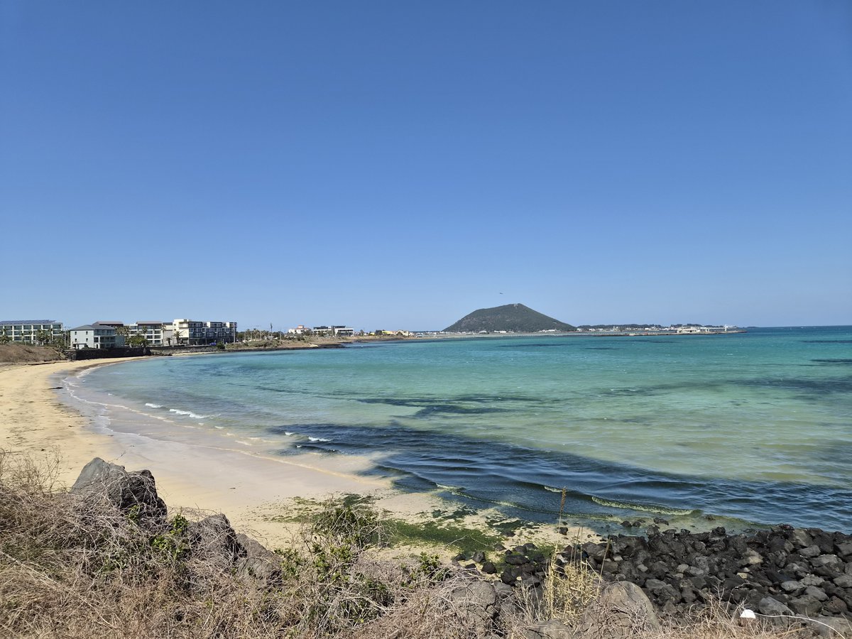 fighting2026 tweet media