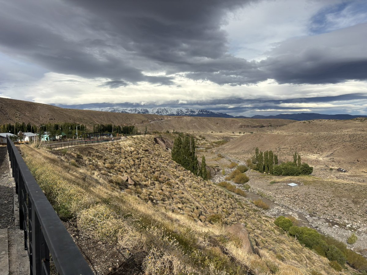 Pablo Ángel Gutiérrez Colantuono tweet media