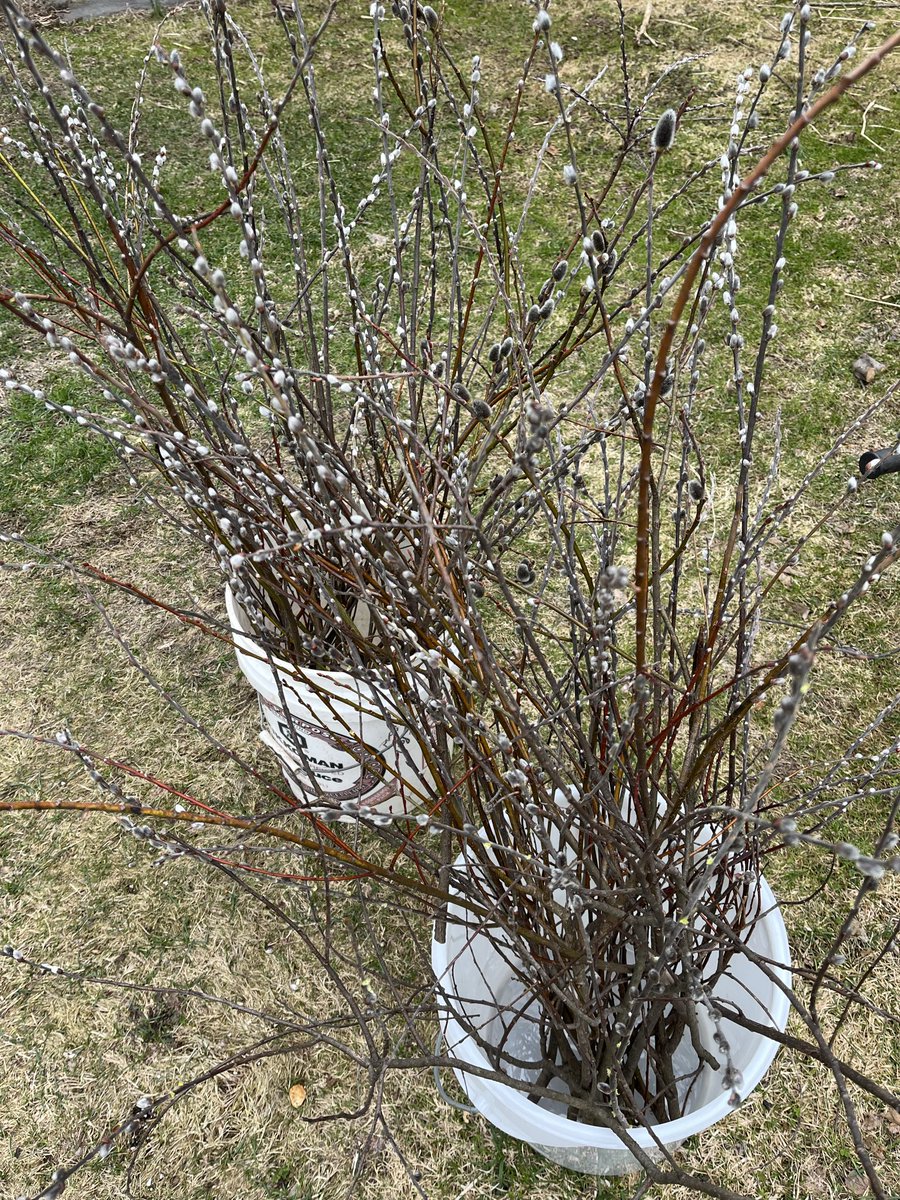 Bonnie 🇺🇦 tweet media