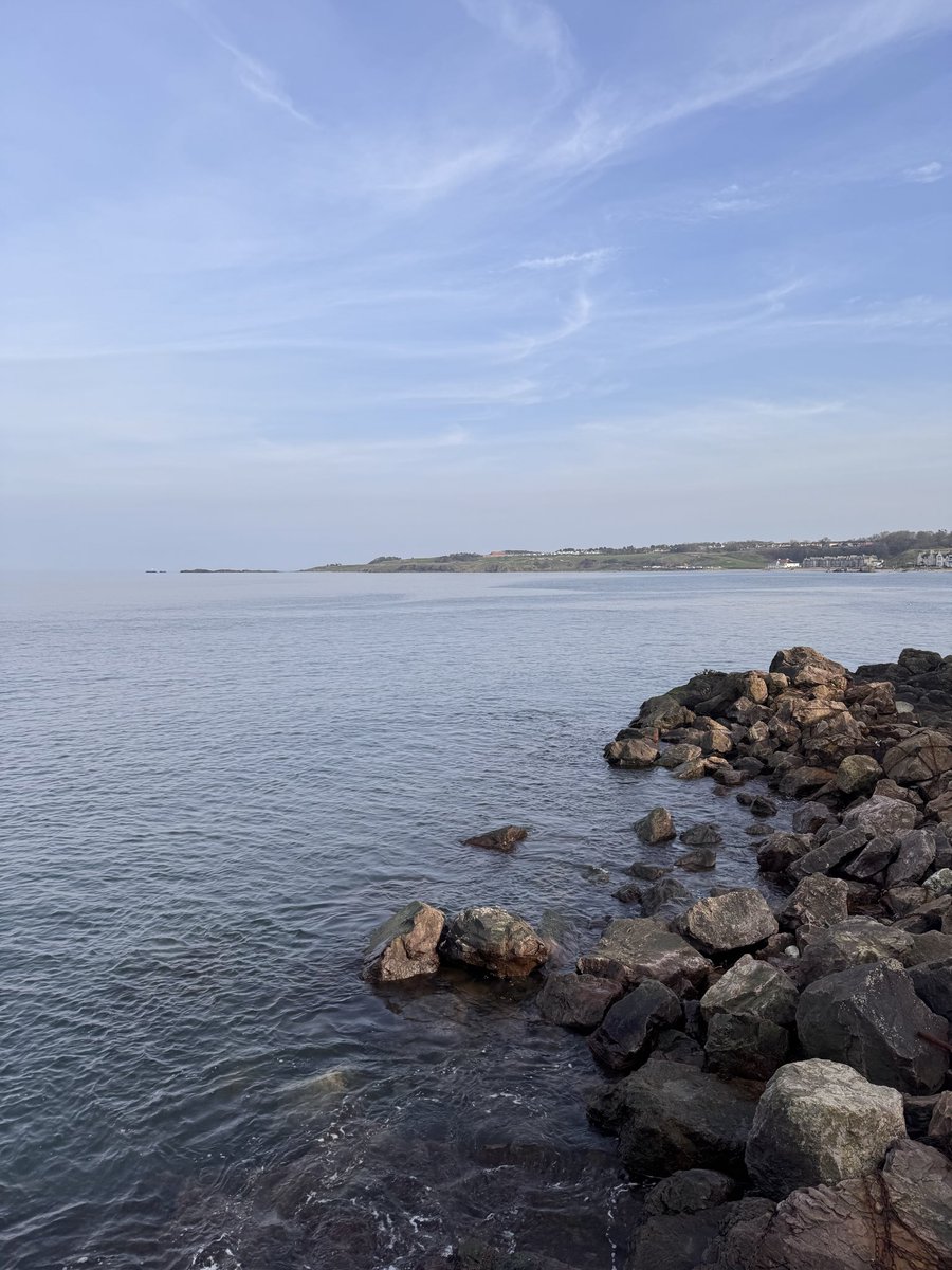 Elle | fuck 🧊 free 🇵🇸 tweet media