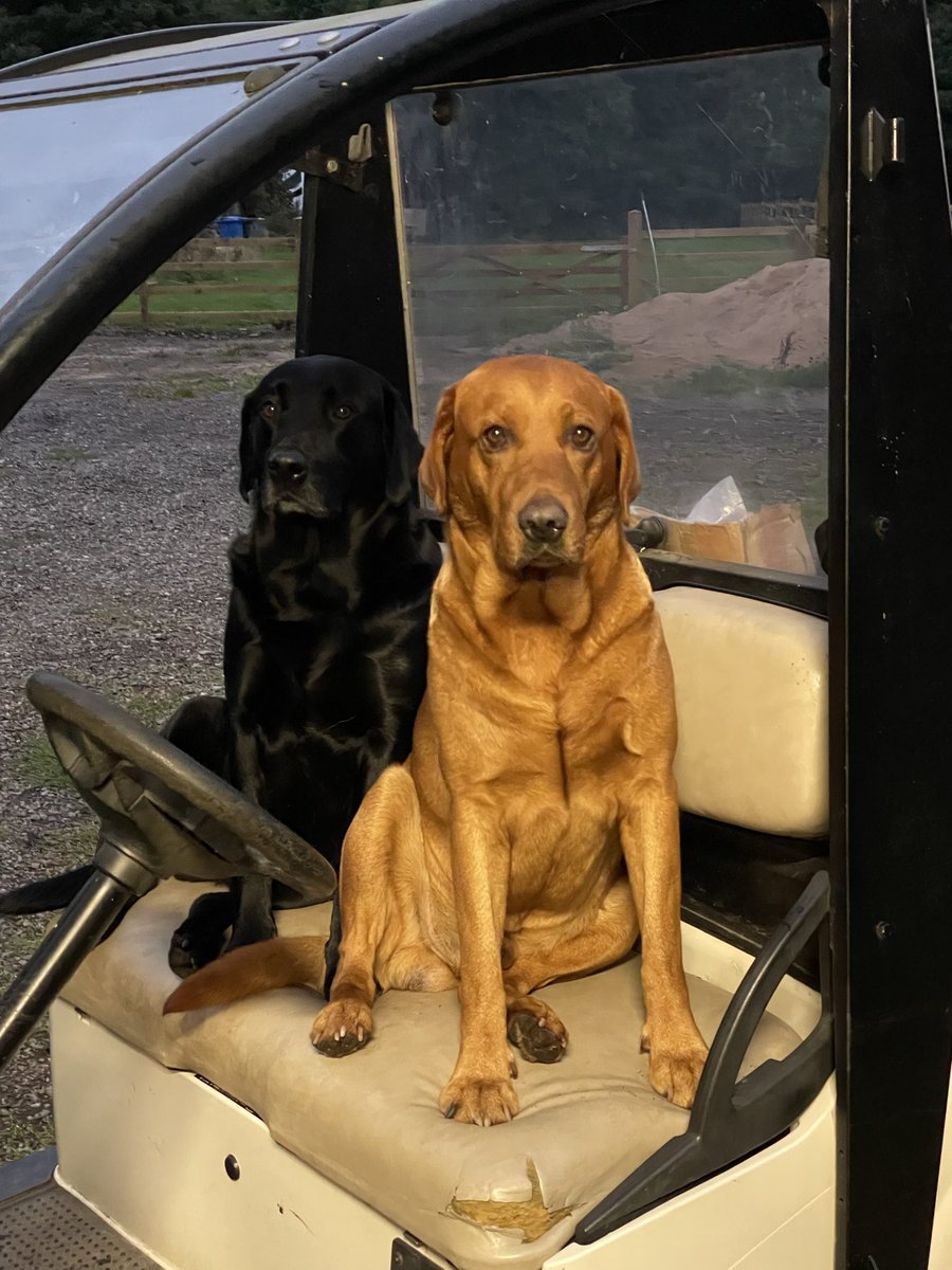 Stuart Leslie tweet media