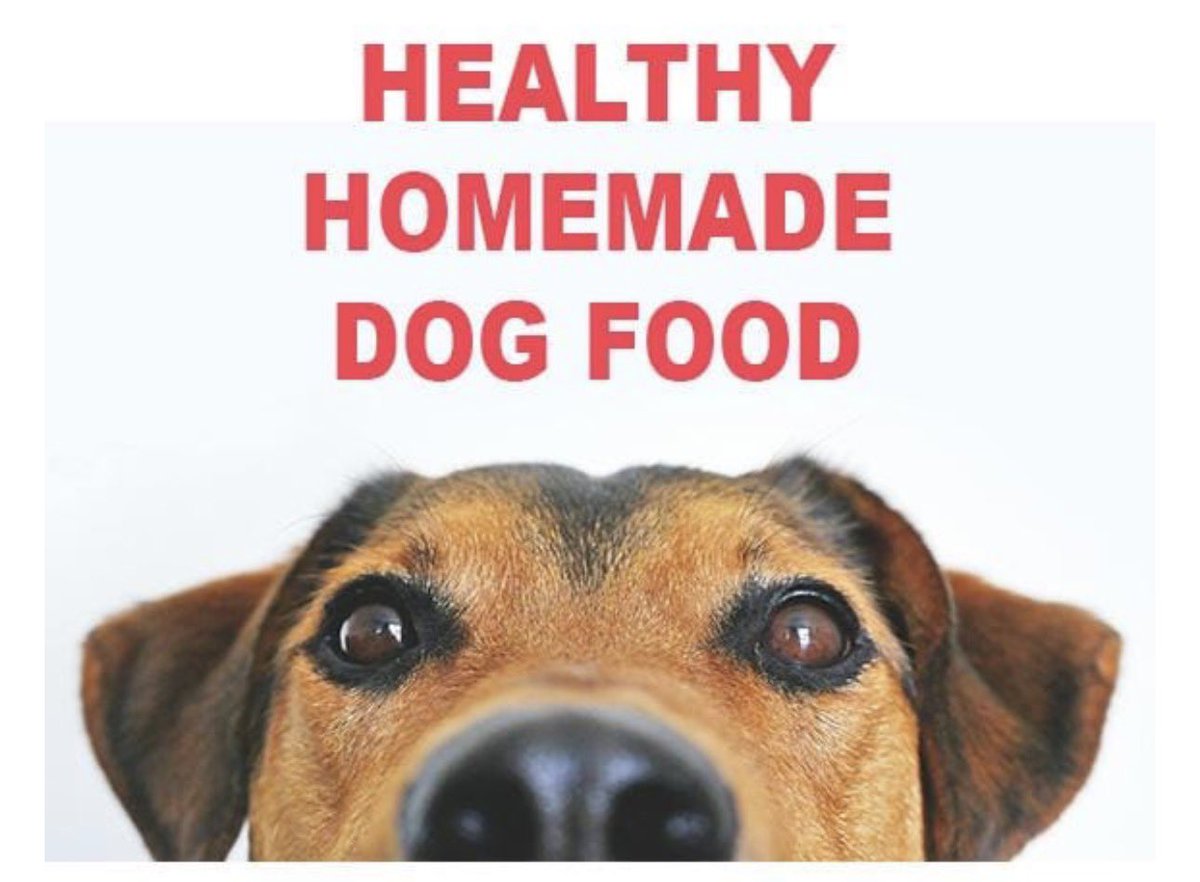 Healthy Homemade Dog Food -including a free recipe booklet! 
etsy.com/listing/432555…
#dogs #pets #dogfood