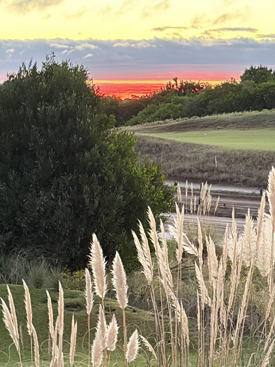 vero basco tweet media