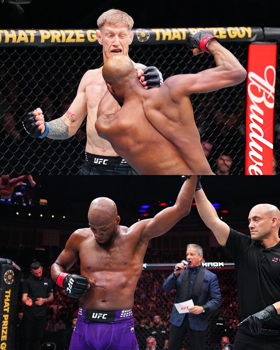 Full Mount MMA tweet media