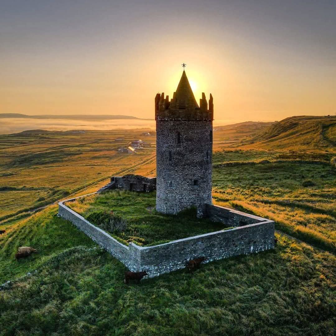 This is Ireland 🇮🇪☘️ tweet media