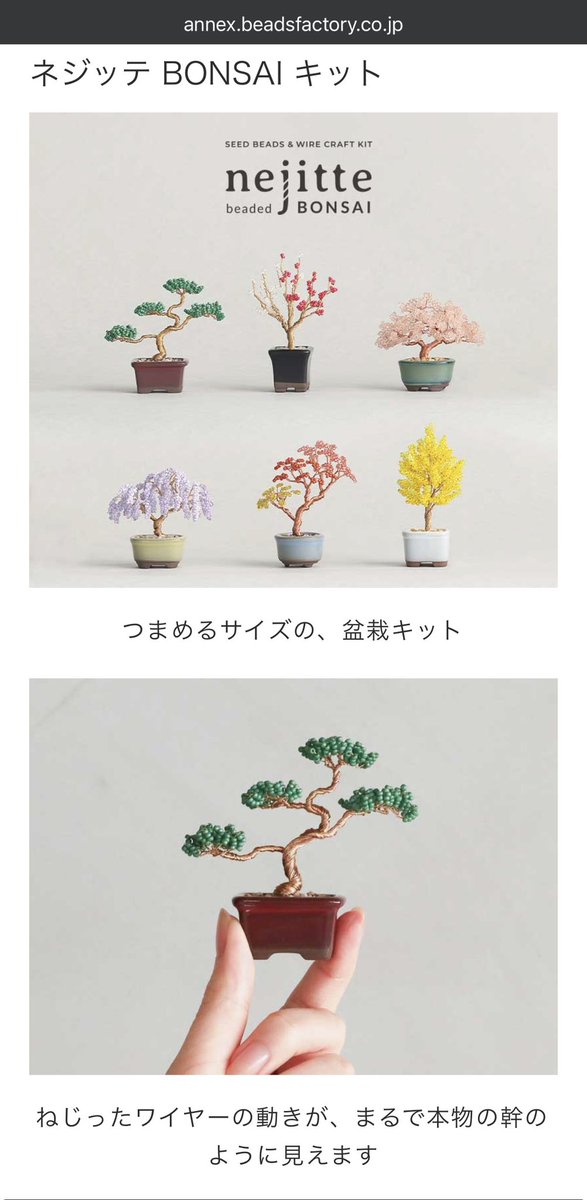 真夜 Maya Moriyama tweet media