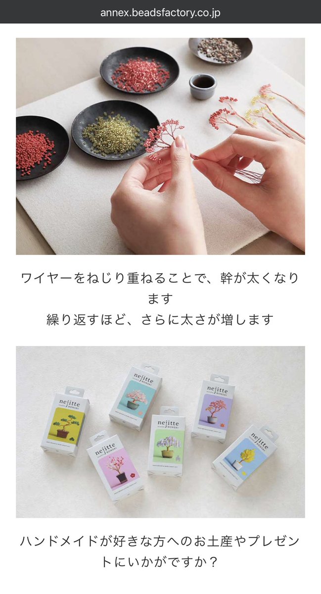 真夜 Maya Moriyama tweet media