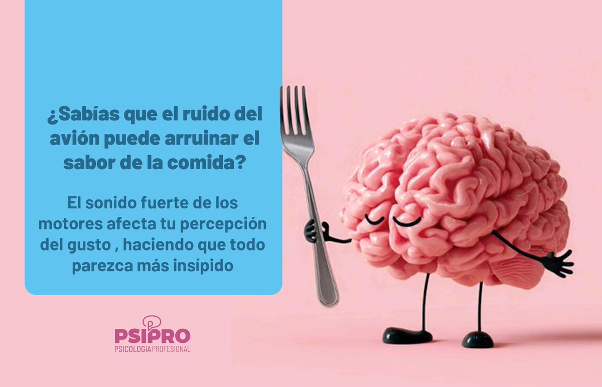 PsiPro_ar's tweet photo. En el avión la comida parece más fea por el ruido constante de los motores. Ese sonido afecta cómo percibís los sabores: baja lo dulce y salado, y todo se siente más insípido. No es la comida… es el ambiente jugando con tus sentidos. ✈️

#PsiPro https://t.co/pA5fPuQoWB