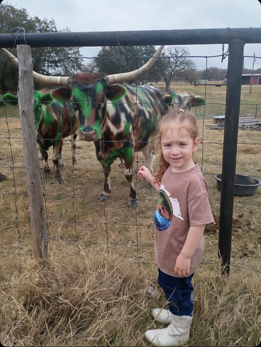 BuffaloRon tweet media