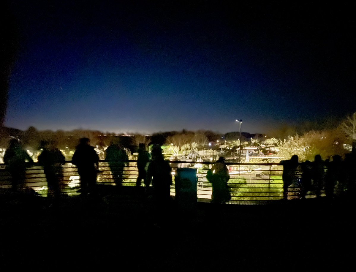 🍦Robyn🐈‍⬛ tweet media