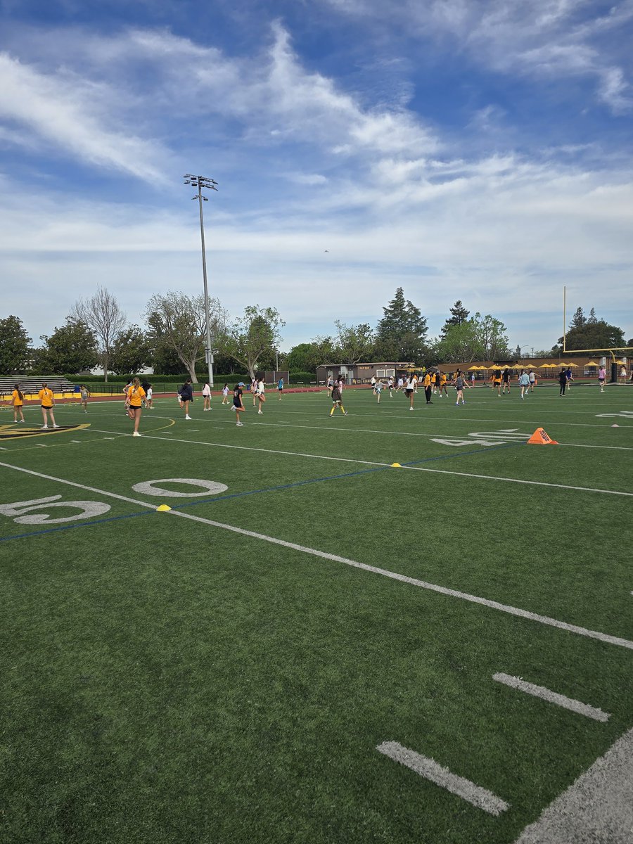 Milo Lewis tweet media