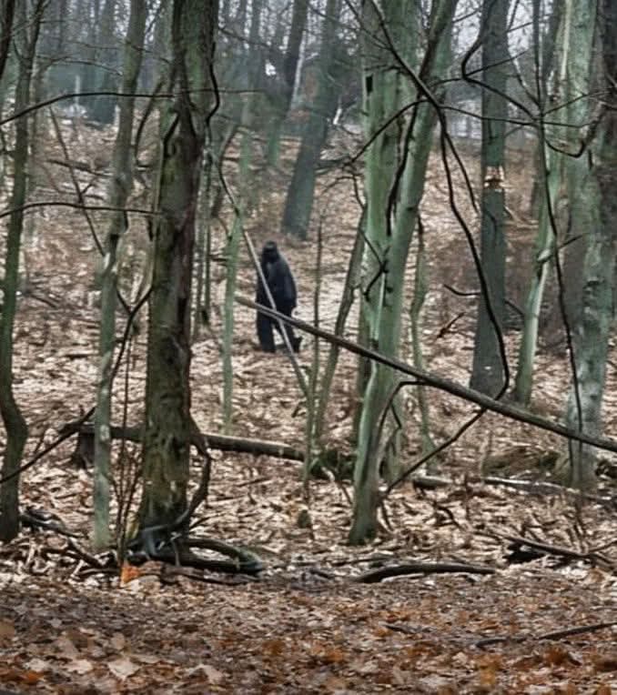 Annette Barstow tweet media