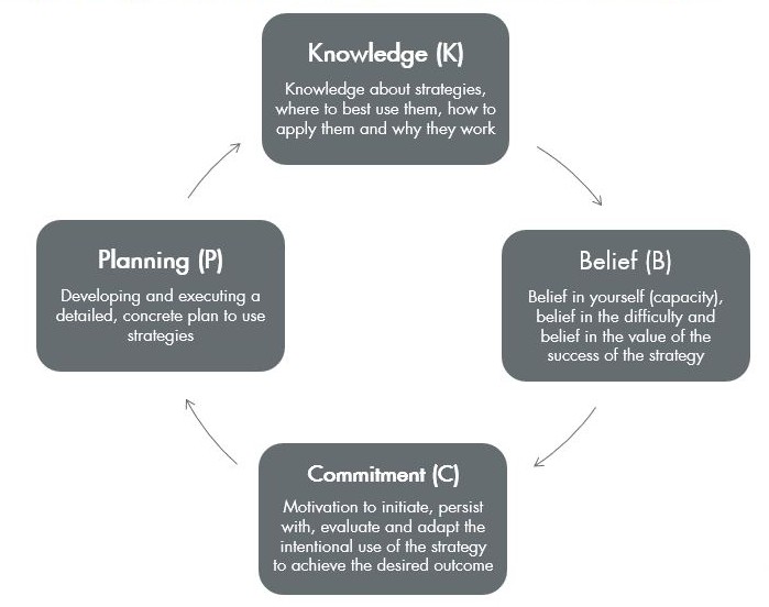 A Learner's Toolkit tweet media