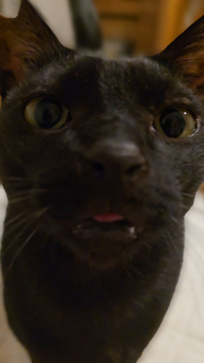 Hidetaka SWERY SueHERO tweet media