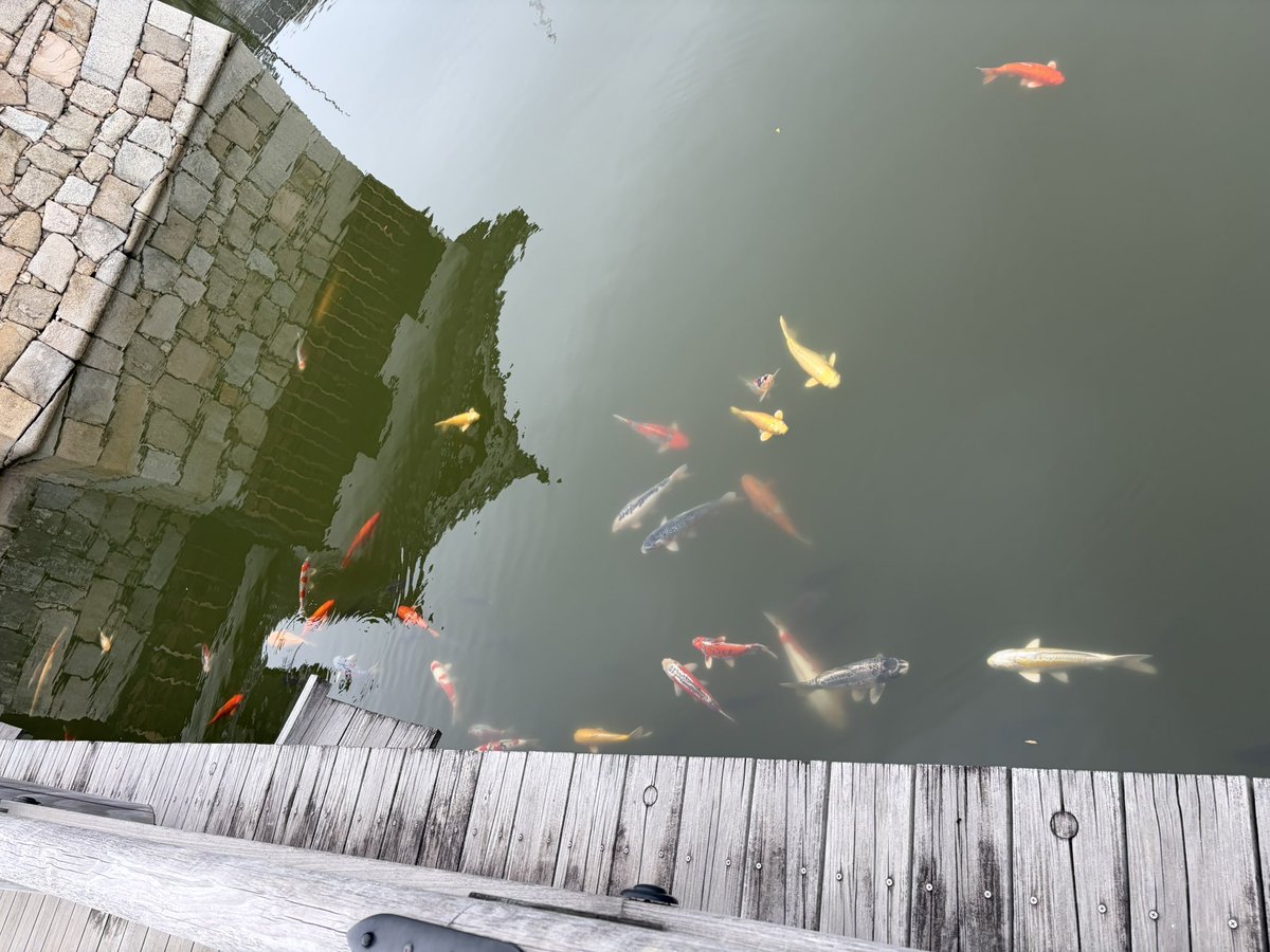 地元広島🍁朝活＆一人旅🛵宅建・電工２種⚡️勉強中 tweet media