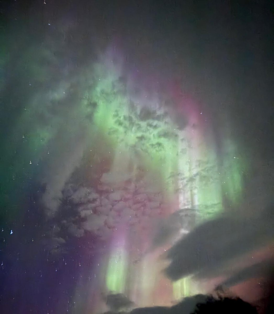 Gregarious tweet media