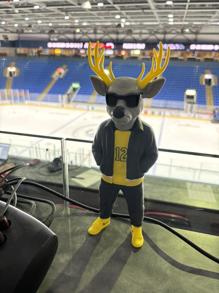 David Fine tweet media