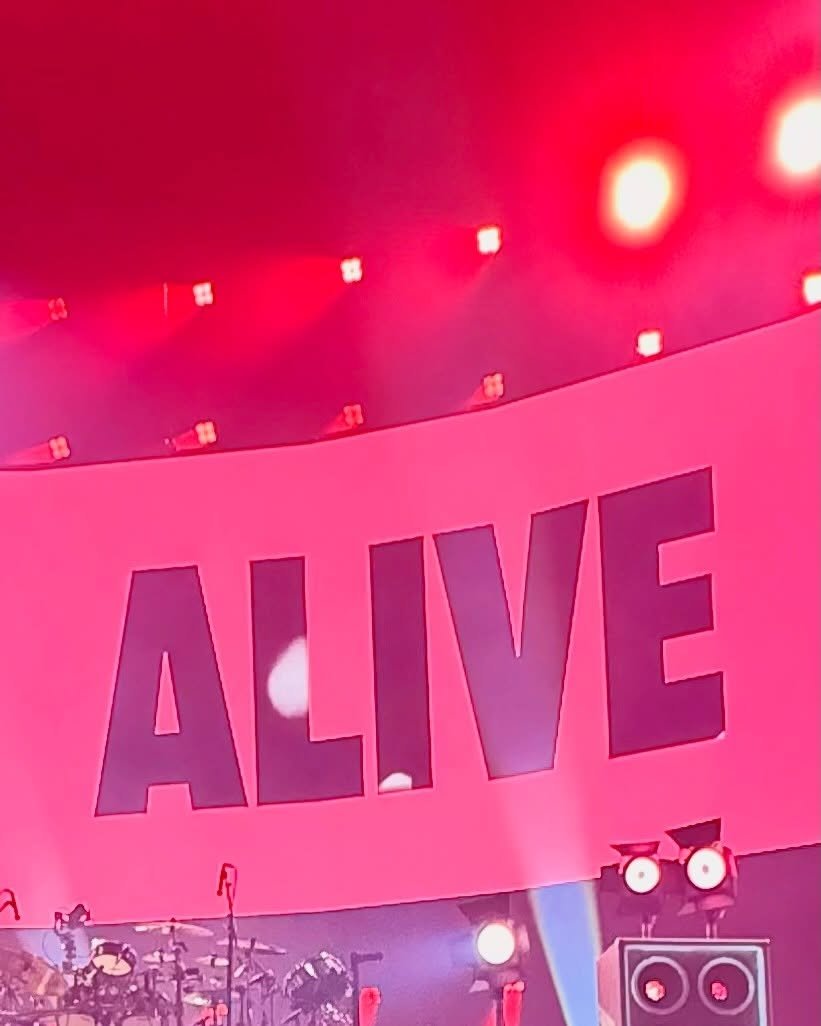 ⭐️ 5SOS Updates ⭐️ tweet media