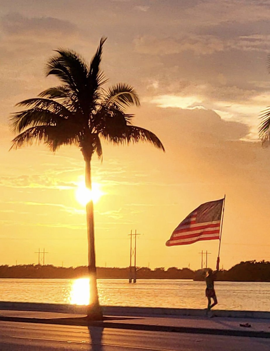 Richard Gray tweet media