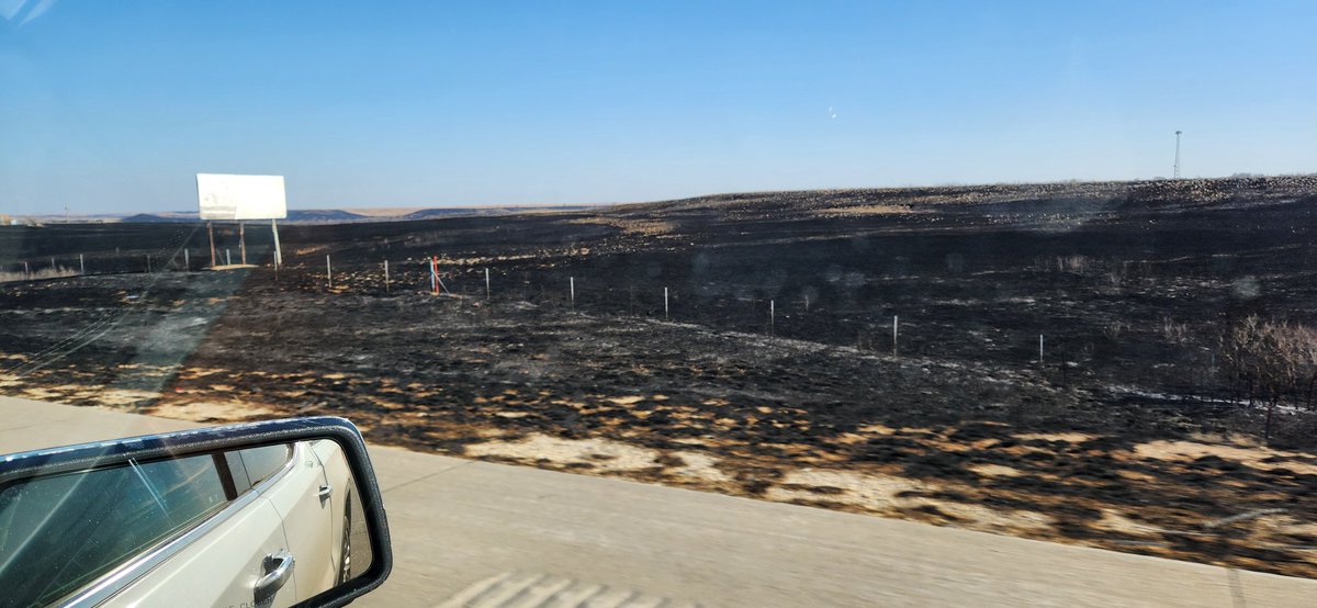 Chandler T tweet media