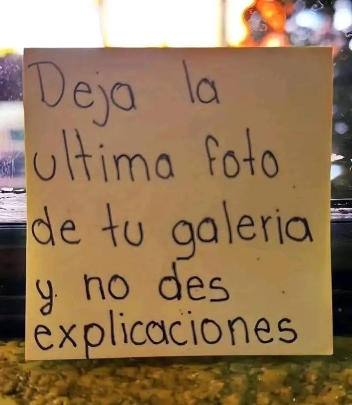 Cani. 🔥💥 tweet media