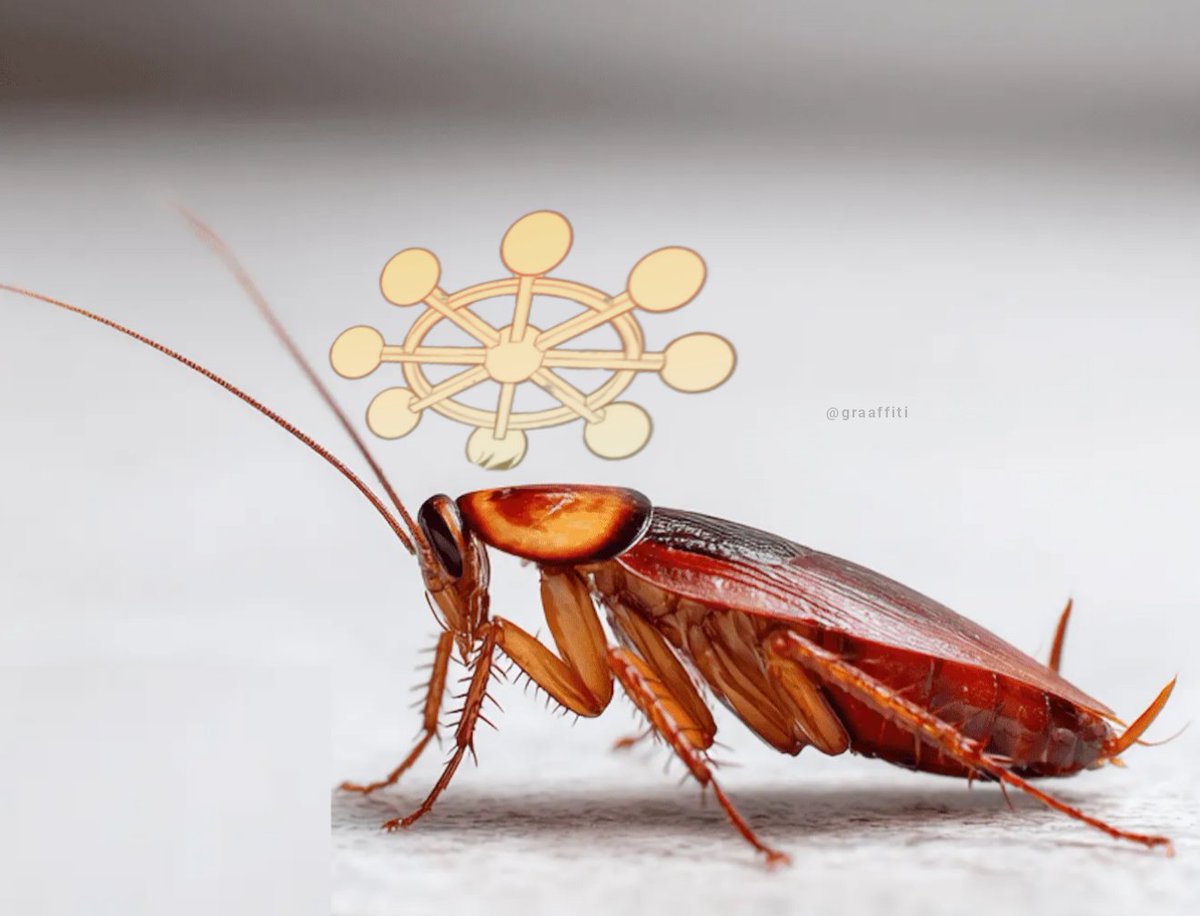 l○wkēy•AHMAD ➐ tweet media