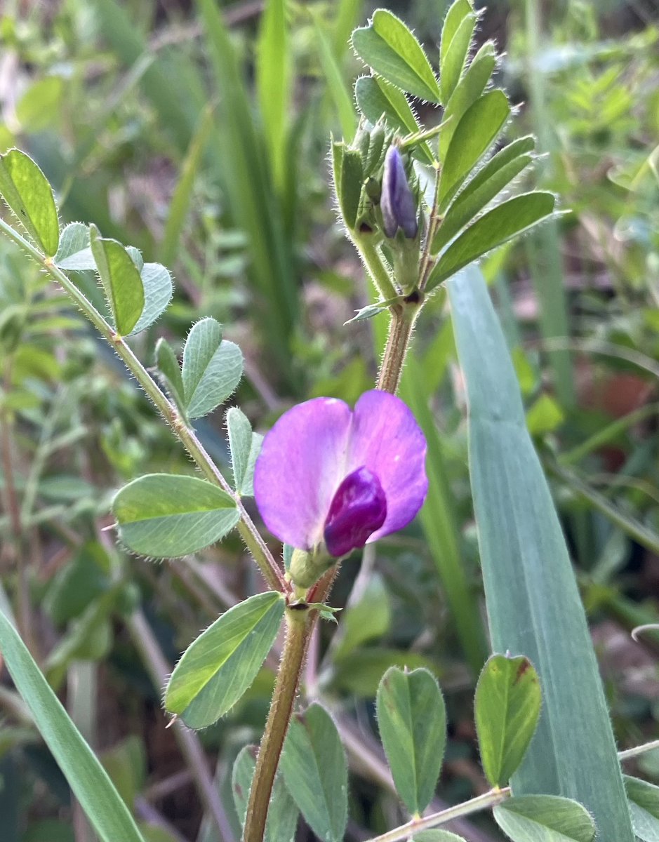 momo🍑 tweet media