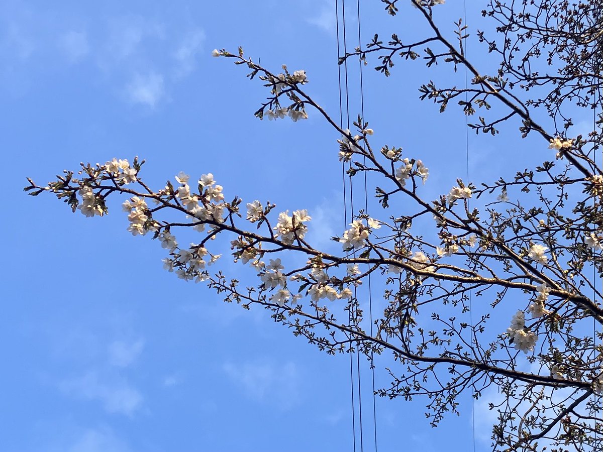 momo🍑 tweet media