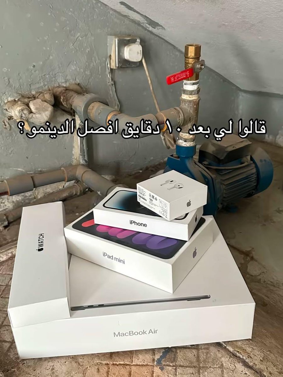 علياء tweet media