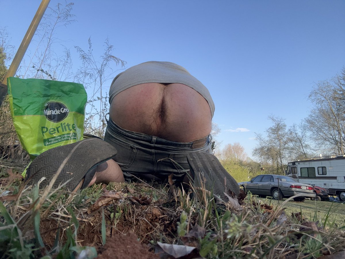 the dog that can tweet media