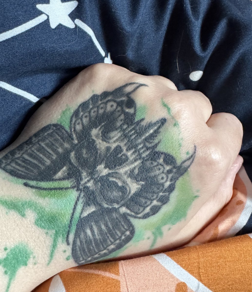  ⌕. ⡷᷼͝RAVEN’ₛ ʷᵒʳˡᵈ. tweet media