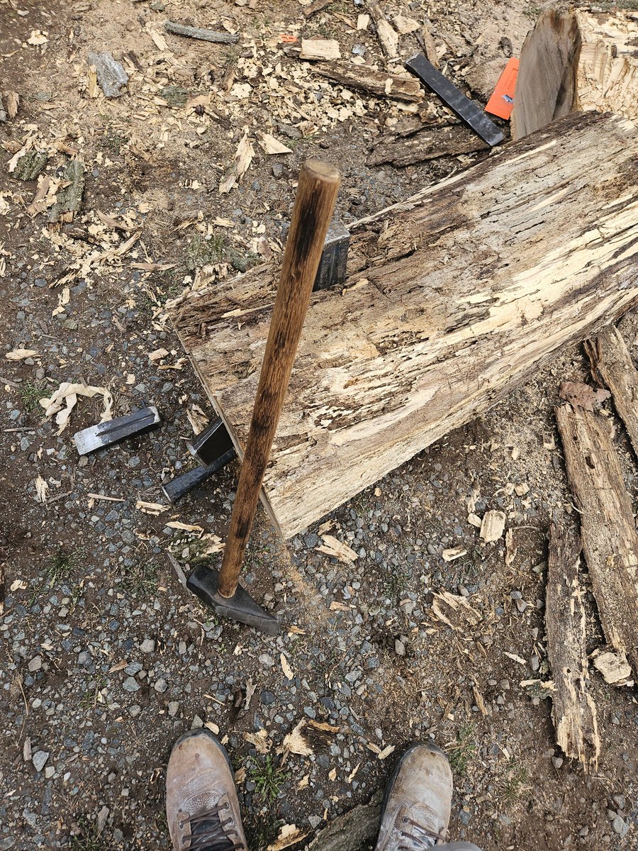 Spaghetti Joe tweet media