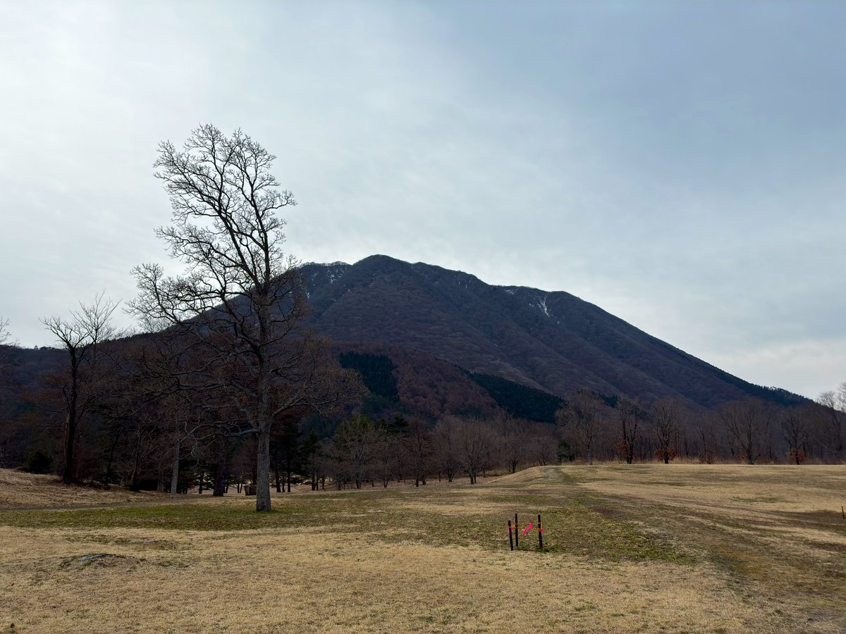 いであ tweet media