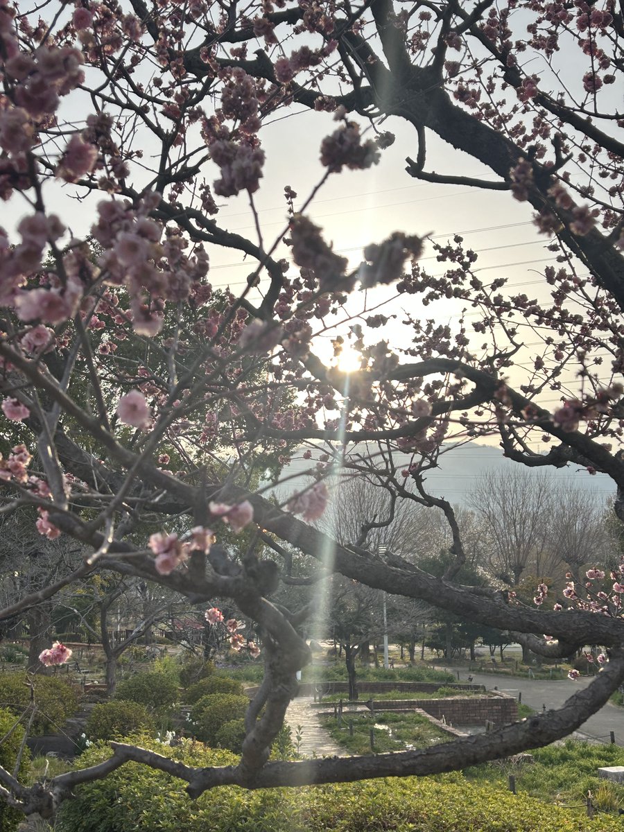 simplelife0905's tweet image. 3/22（日）
大安吉日✨

#本当に大事なことに命を使える社会を作る　
#QOL
#大切なのは一人ひとりの命自由尊厳