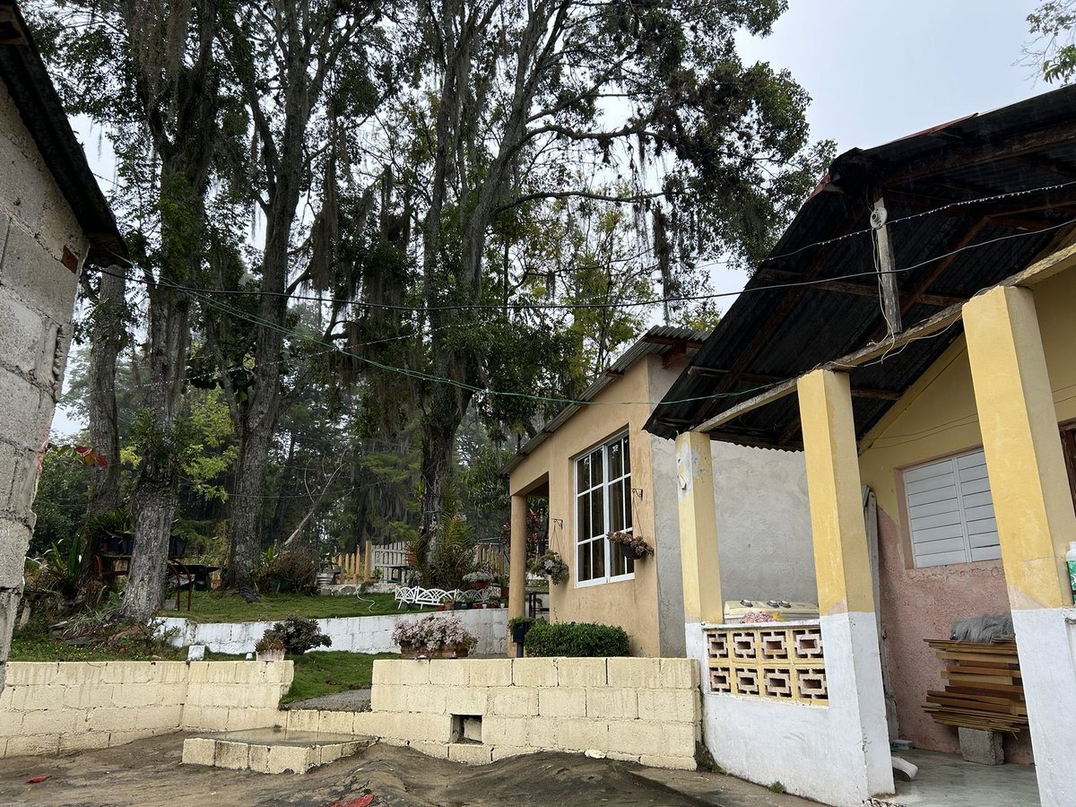 José E. Devárez tweet media