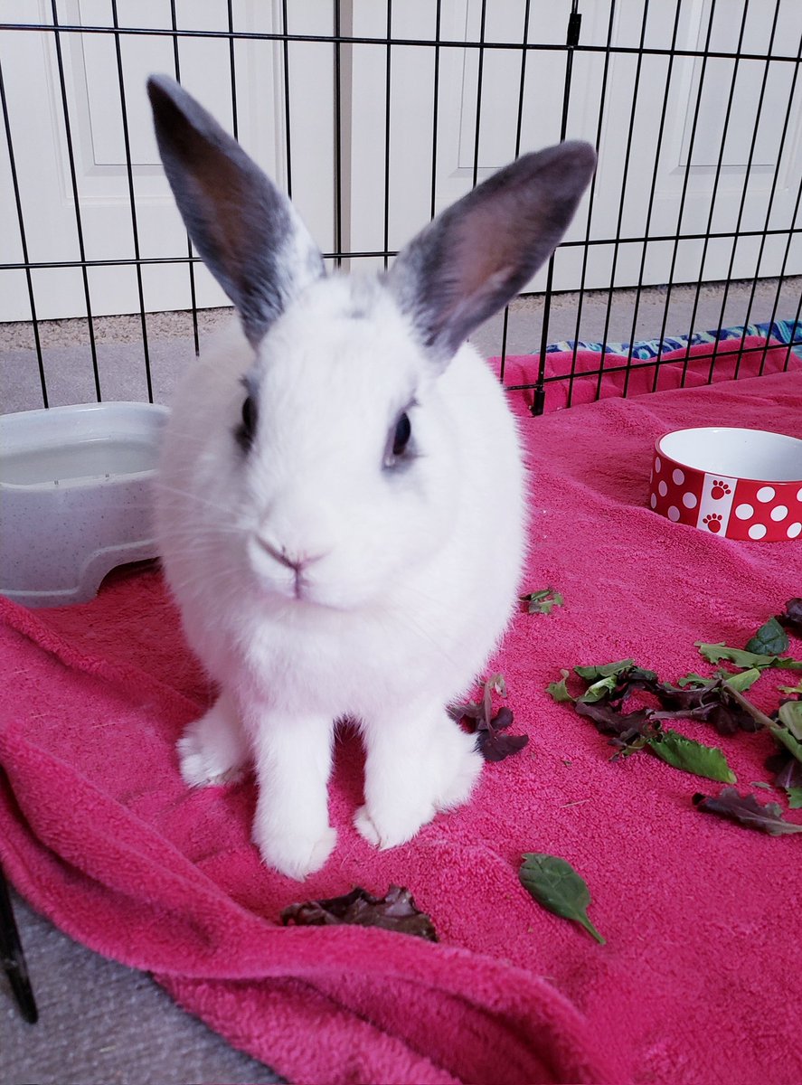 Tranquility Trail tweet media