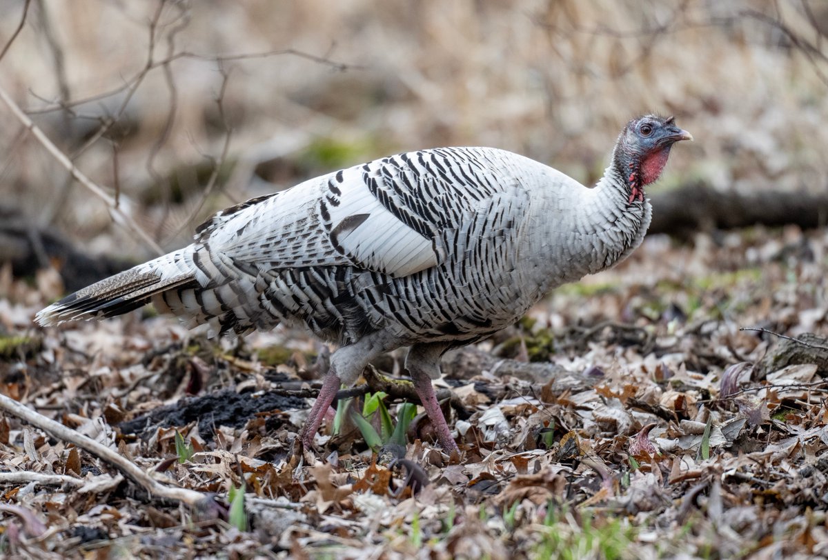 Jocelyn Anderson Photography tweet media