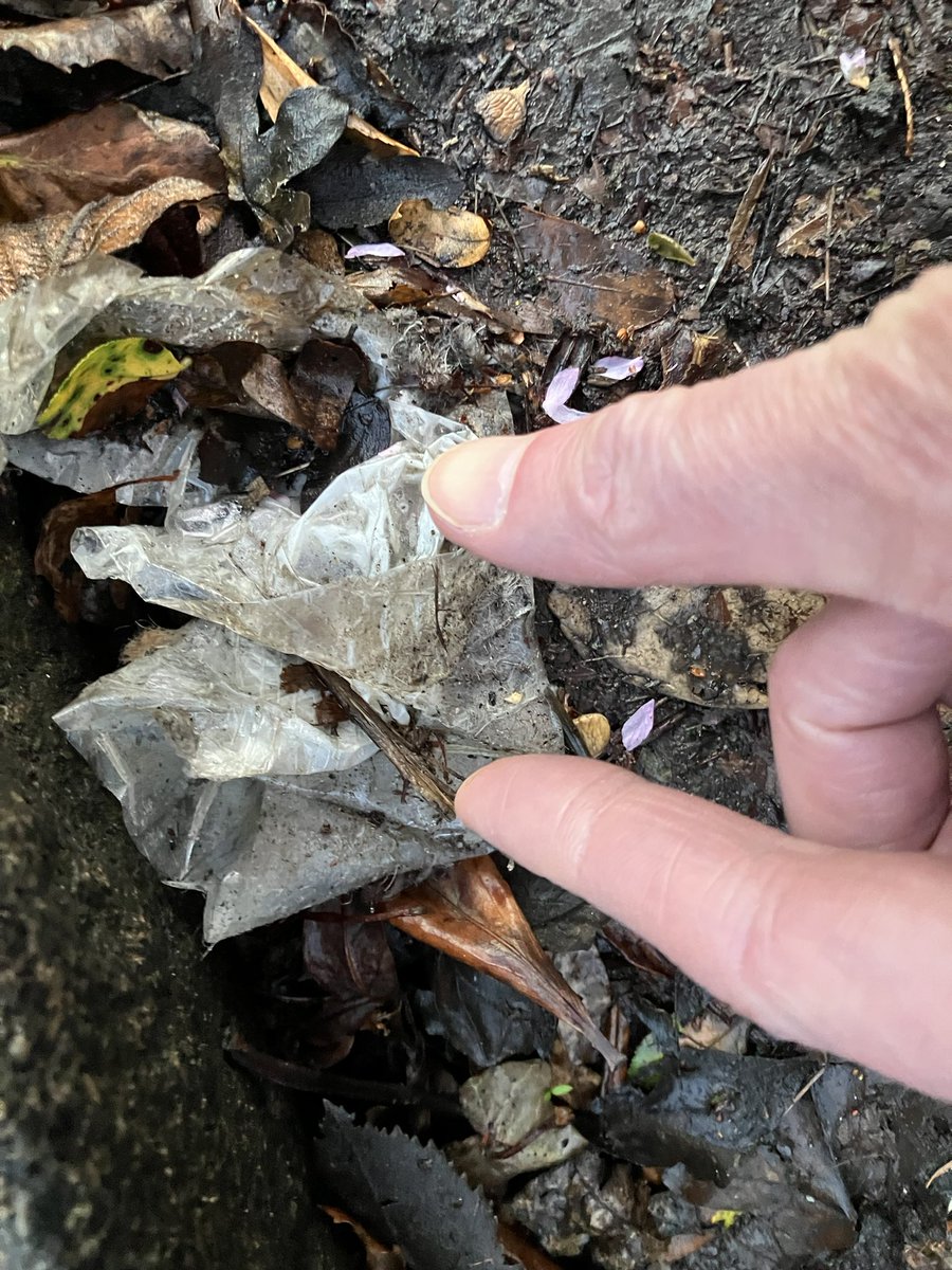 @_pickuplitter tweet media