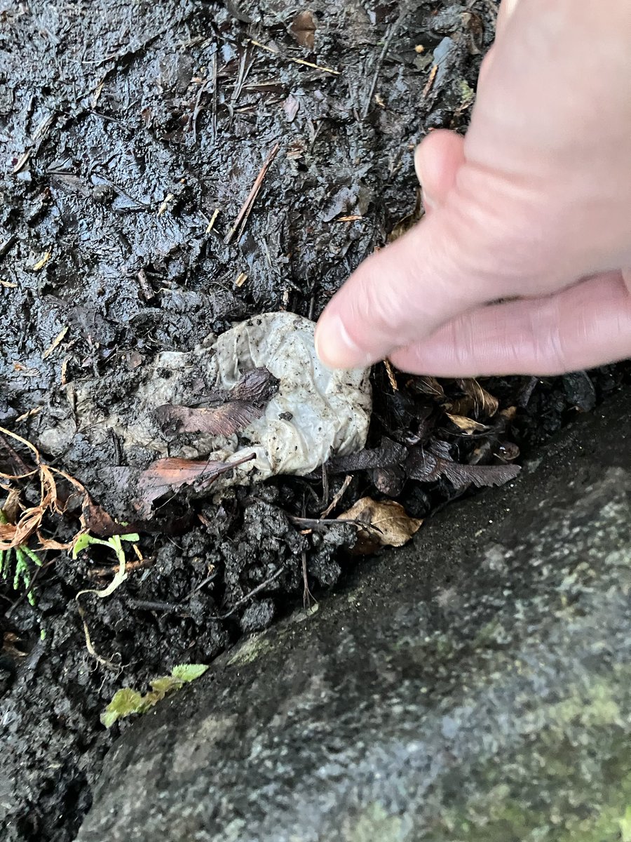 @_pickuplitter tweet media