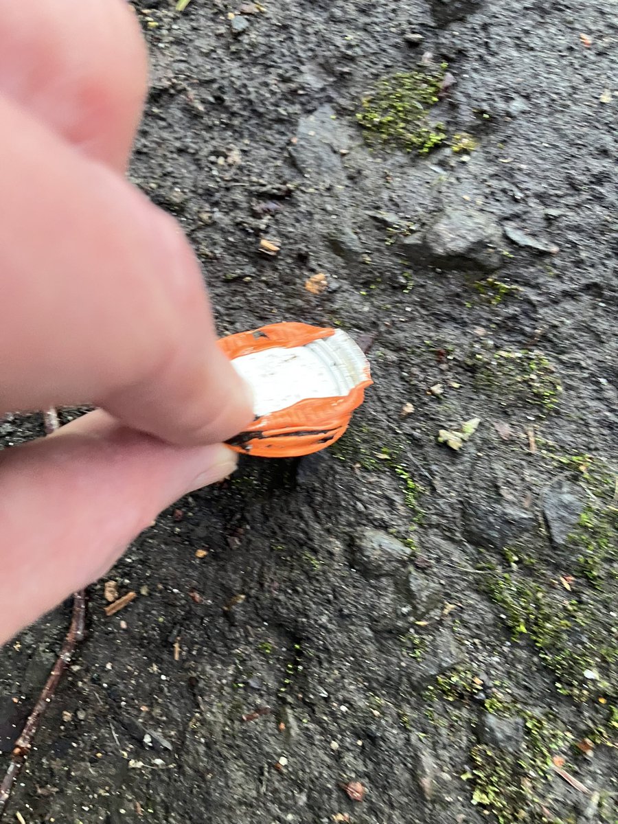 @_pickuplitter tweet media