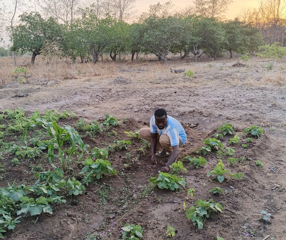 YAROU charaf tweet media