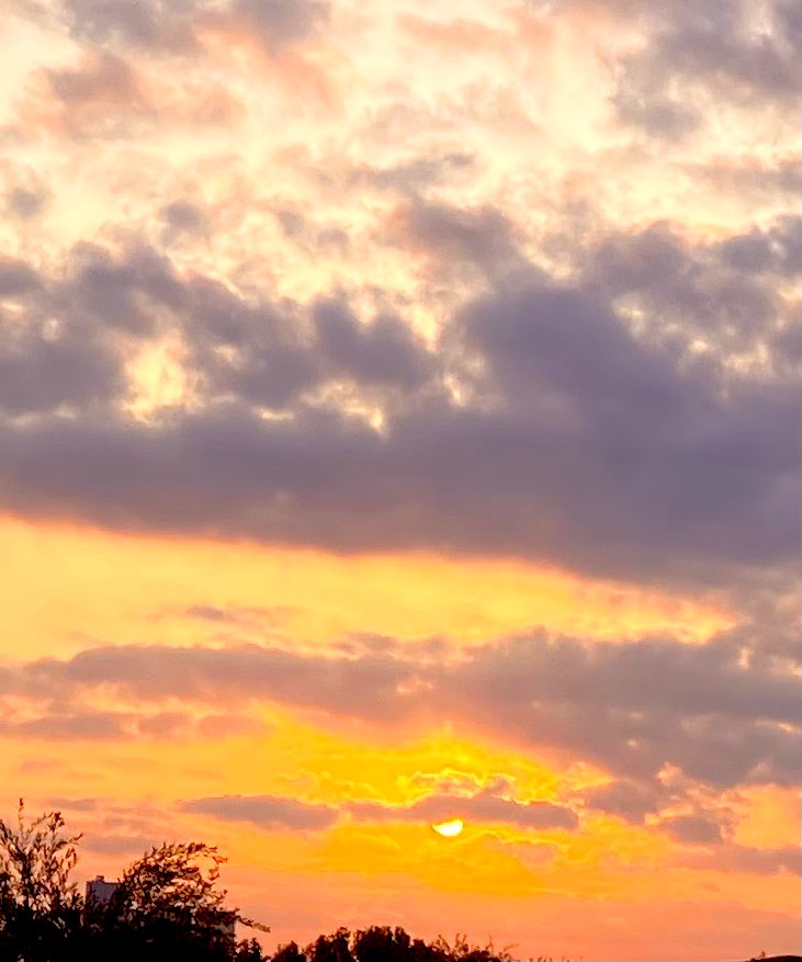 momo🍑 tweet media