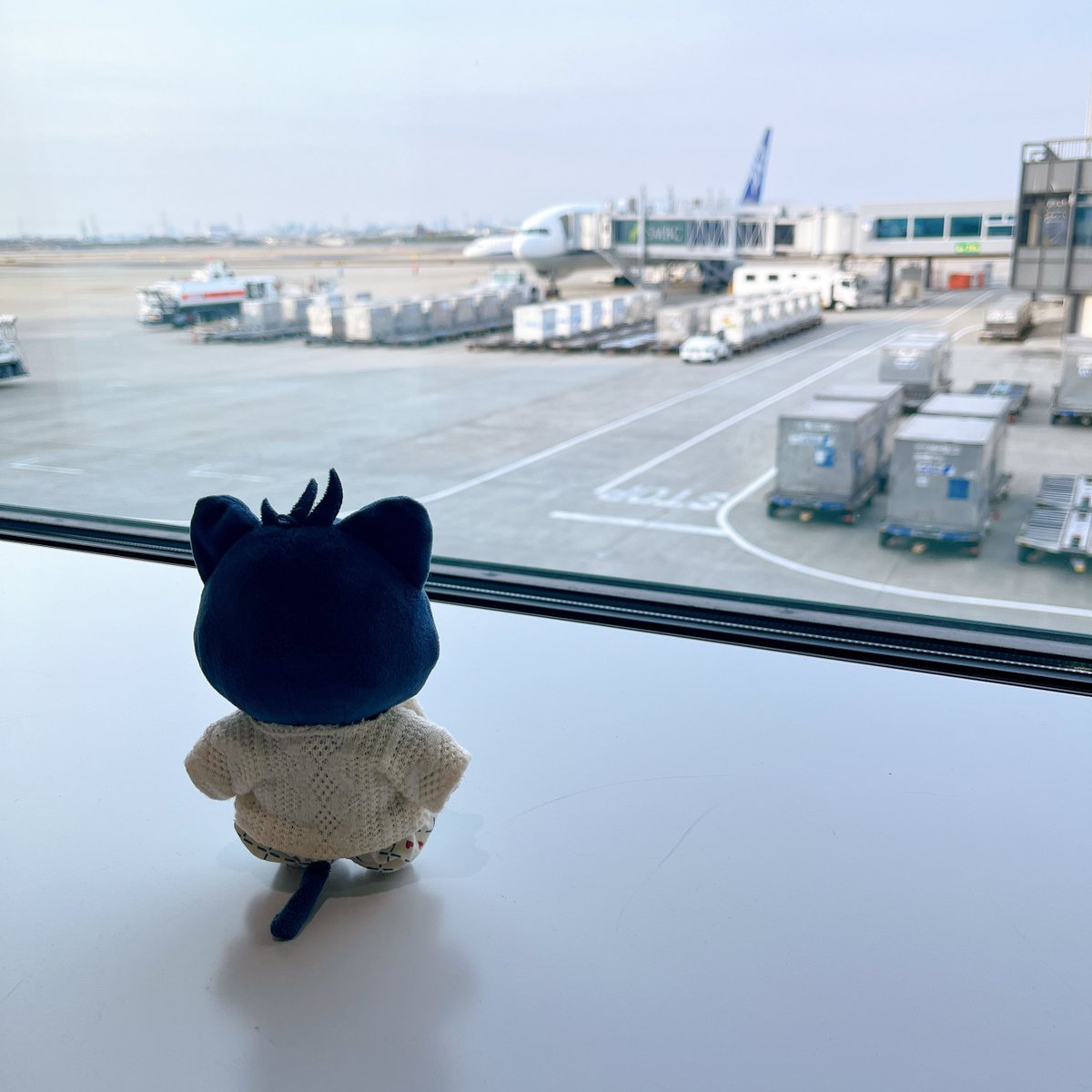 みと🐺 tweet media