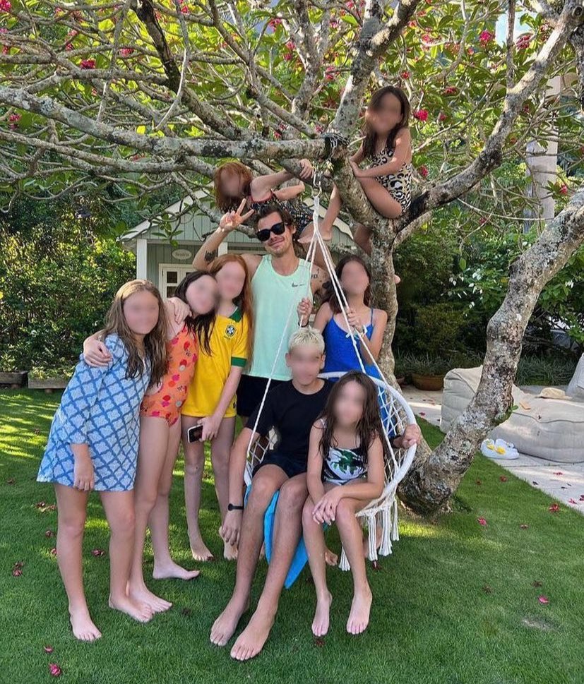 acervo harry styles tweet media